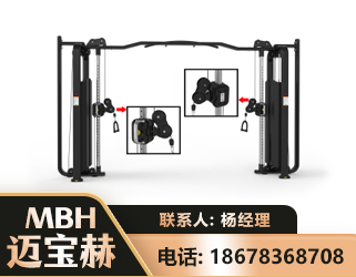 乐山大飞鸟训练器