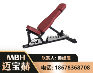 乐山可调哑铃椅